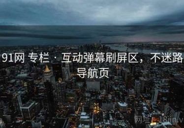 91网 专栏 · 互动弹幕刷屏区，不迷路导航页