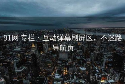 91网 专栏 · 互动弹幕刷屏区，不迷路导航页