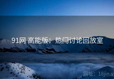 91网 高能版：热门讨论回放室