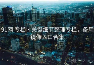 91网 专栏 · 关键细节整理专栏，备用镜像入口合集