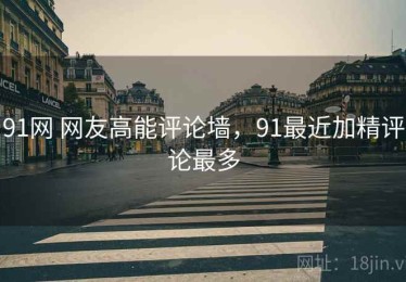 91网 网友高能评论墙，91最近加精评论最多