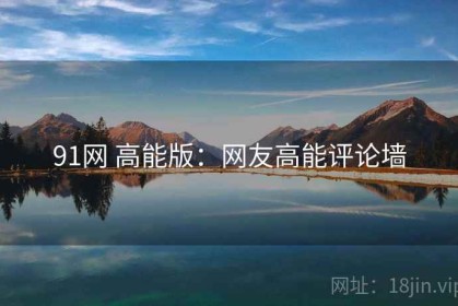 91网 高能版：网友高能评论墙