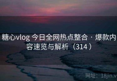 糖心vlog 今日全网热点整合 · 爆款内容速览与解析（314 ）