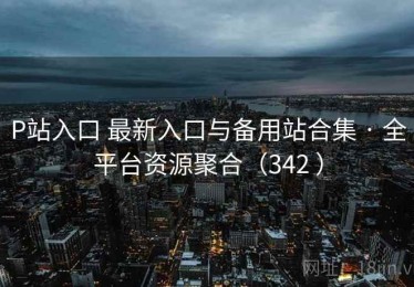 P站入口 最新入口与备用站合集 · 全平台资源聚合（342 ）