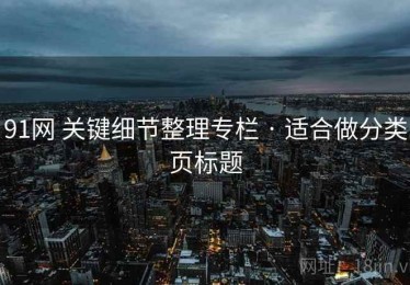 91网 关键细节整理专栏 · 适合做分类页标题