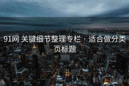 91网 关键细节整理专栏 · 适合做分类页标题