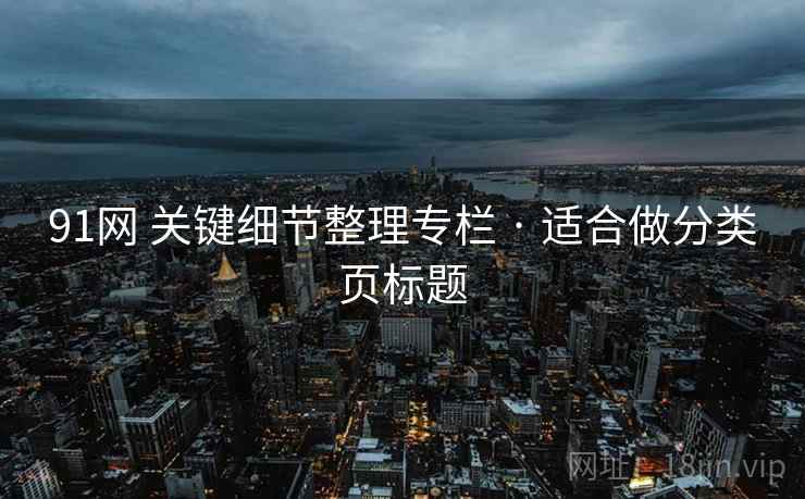 91网 关键细节整理专栏 · 适合做分类页标题
