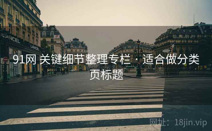 91网 关键细节整理专栏 · 适合做分类页标题