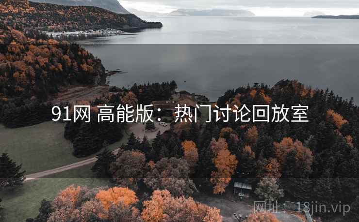 91网 高能版：热门讨论回放室
